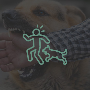 Dog Bites attorney services